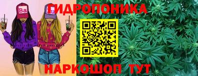 PSILOCYBIN Бугуруслан