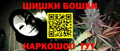 МДПВ Будённовск