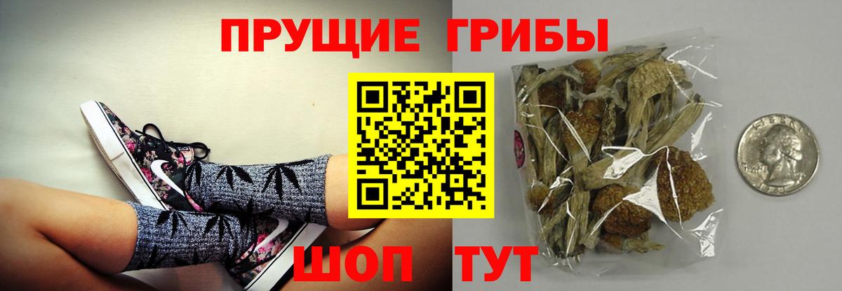 Галлюциногенные грибы Psilocybine cubensis  Псилоцибиновые грибы мицелий  Похвистнево  Вход с VPN 